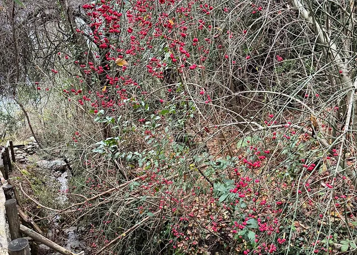 Appartamento Oro, 8 Bellano