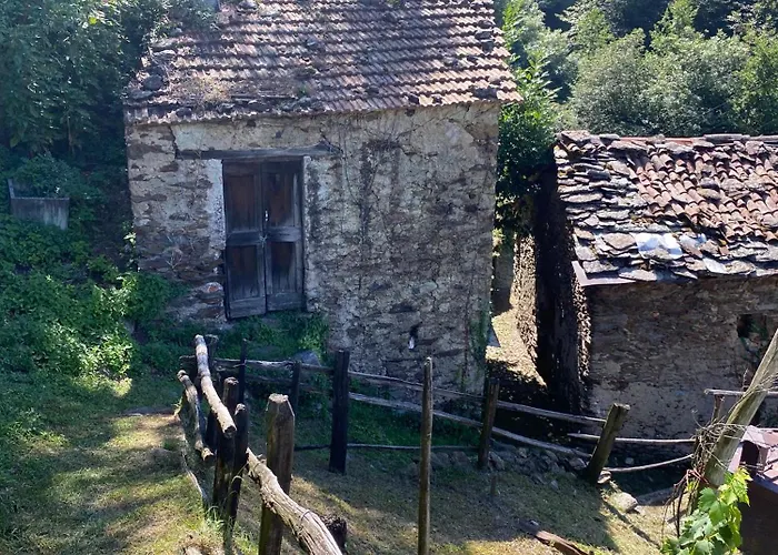 Oro, 8 Bellano